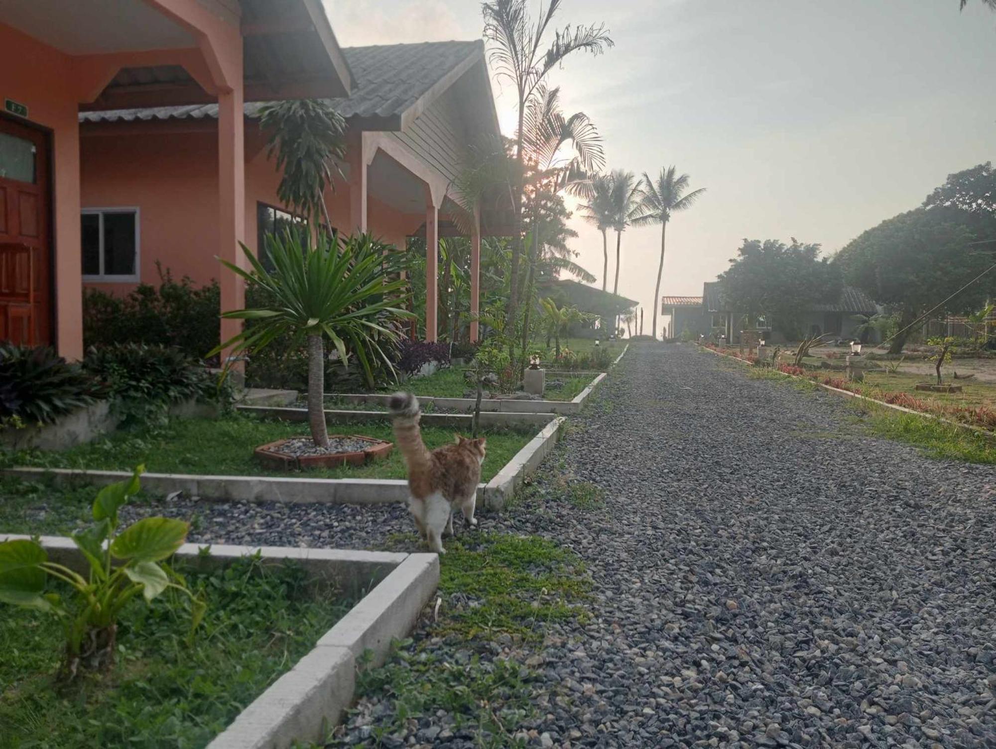 Scandinavian Beach Resort Ko Lanta Extérieur photo